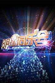 明星同乐会 2013,星光熠熠，欢乐共享的璀璨之夜