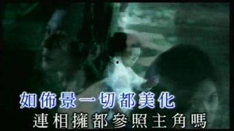 不心动罪名,揭开情感冷漠的神秘面纱