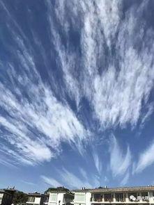 云月相依,探寻自然与人文的和谐共鸣