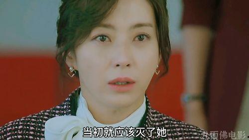 我的财阀老婆,权势与爱情的纠葛